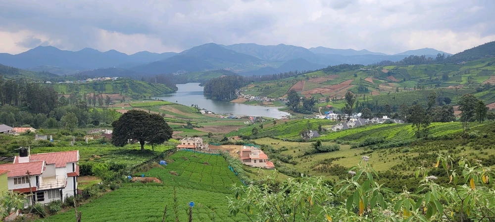 Image uploaded by Rajesh