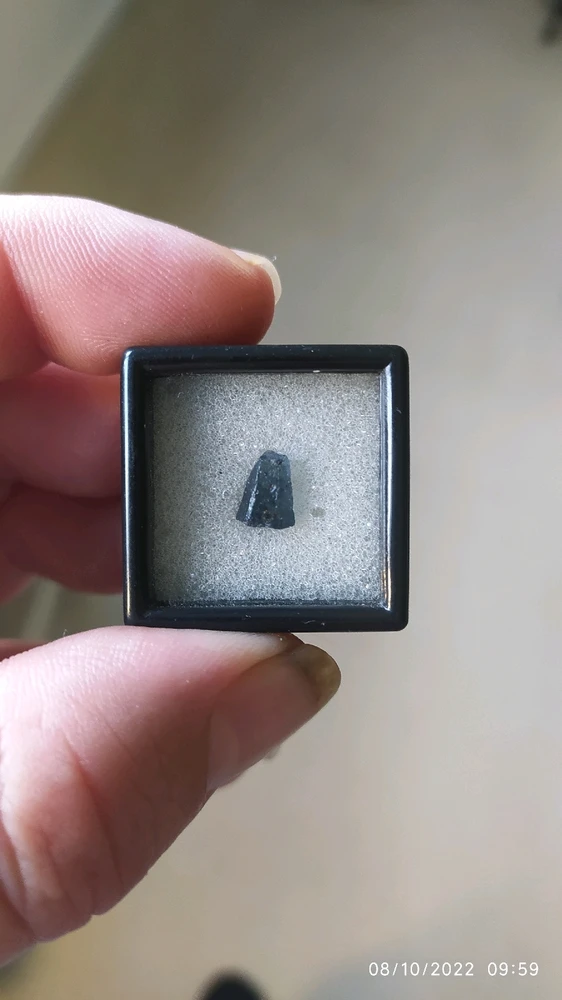 Image ajoutée par Masterwood