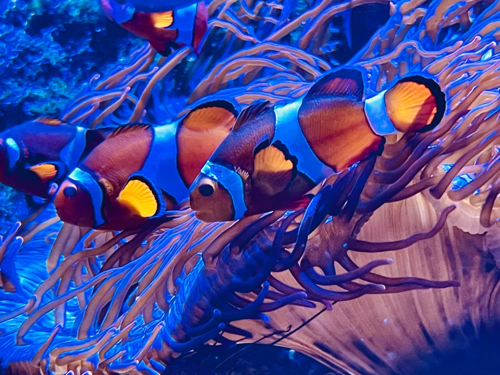 Bild hochgeladen von Sandra