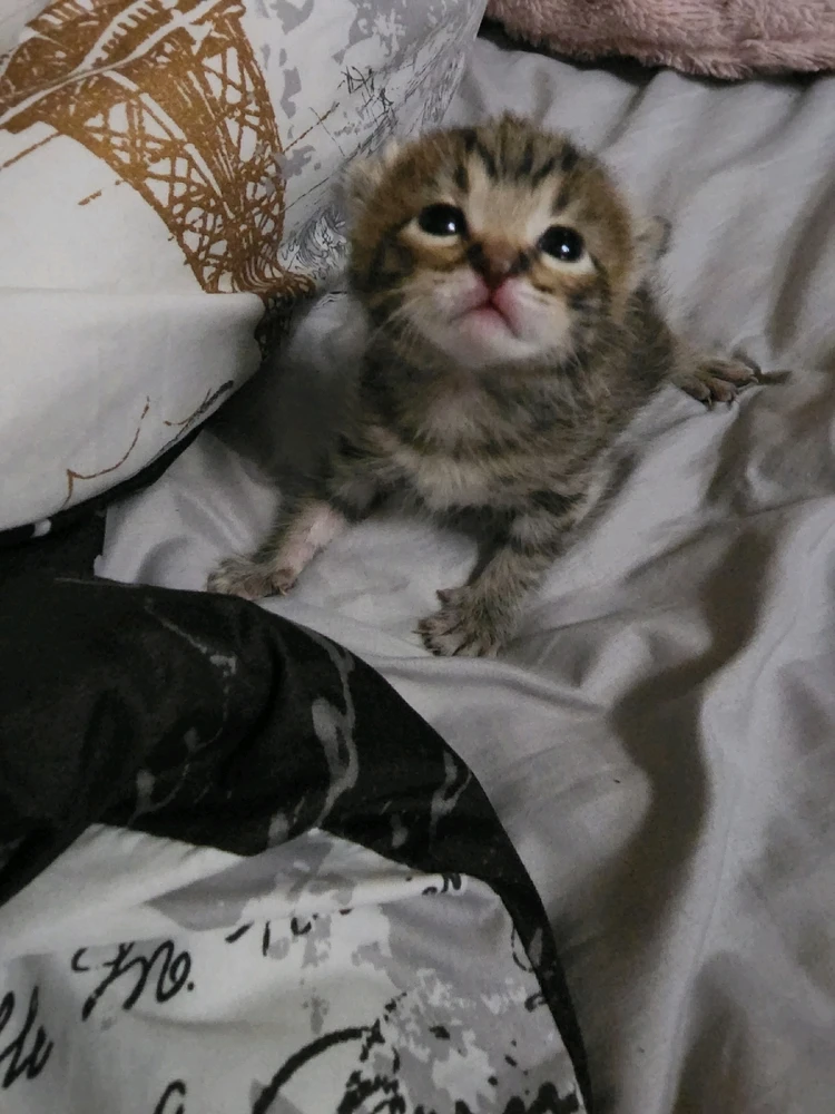 Image uploaded by Destiny