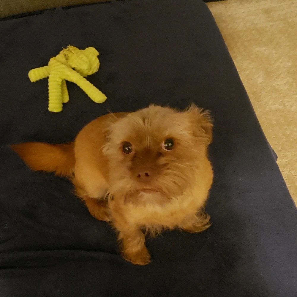 Image uploaded by Treyce