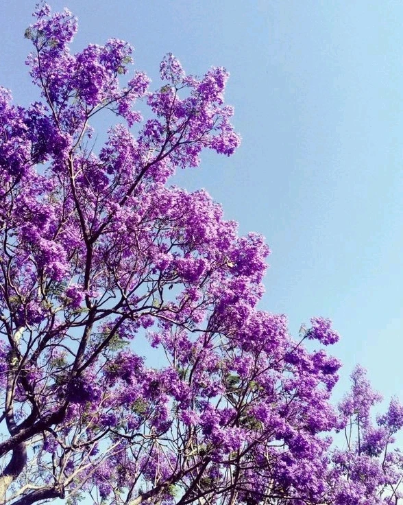 Image uploaded by Herra McKenna
