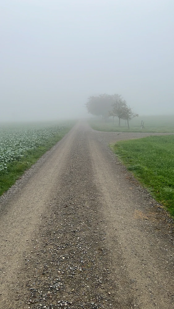 Bild hochgeladen von Kris