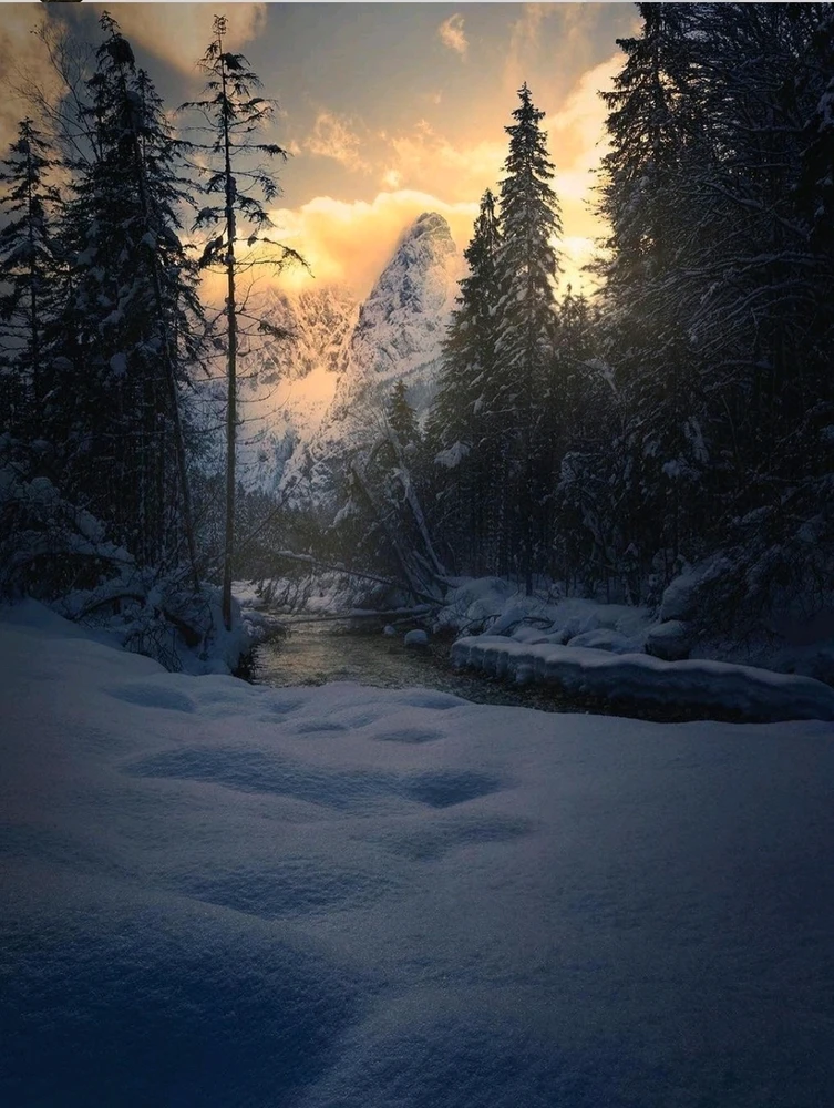 Image uploaded by Basti
