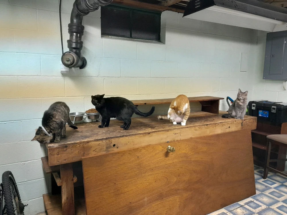 Image uploaded by Sara