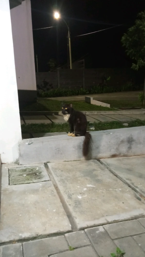 Image uploaded by BS