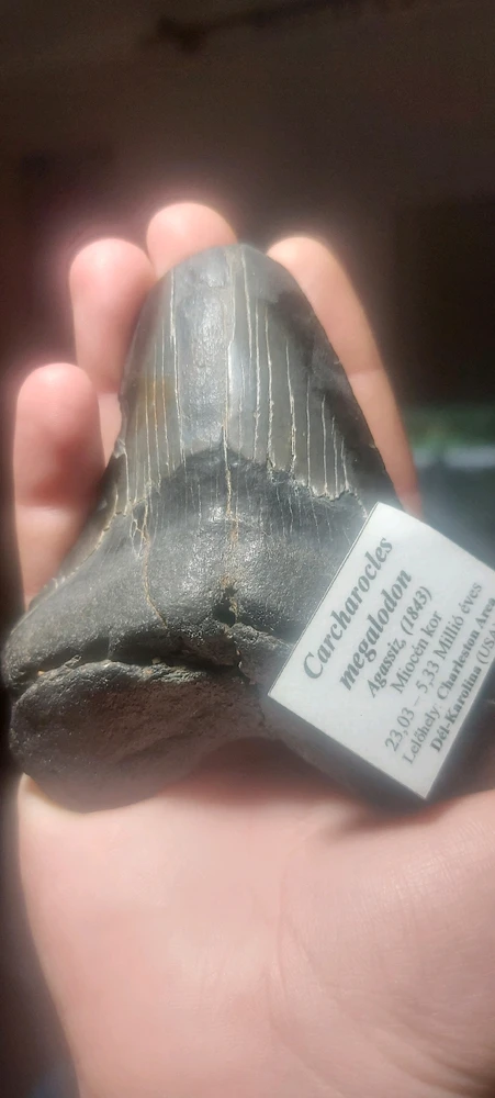 Image uploaded by Annamari