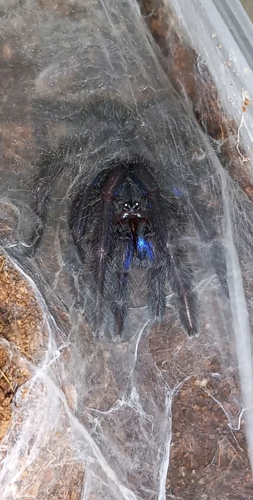 Image uploaded by Nyssa