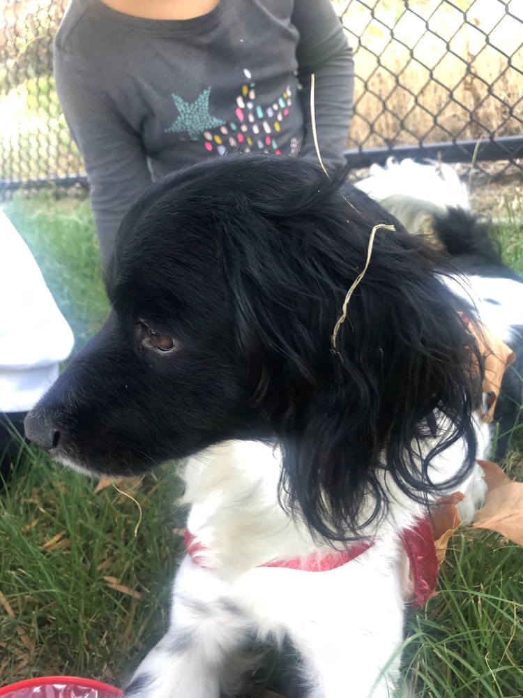 Image uploaded by Steven