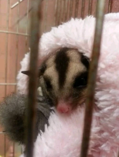 Gambar diunggah oleh EmMhanK