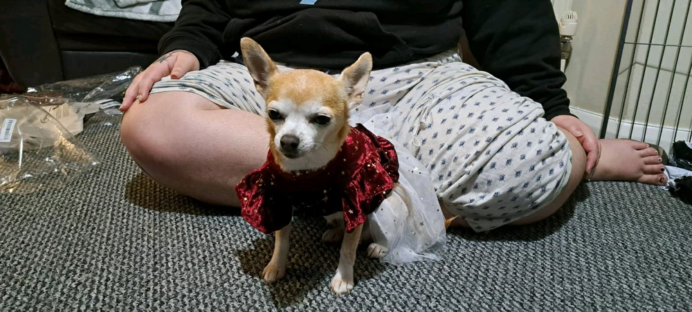 Image uploaded by Thom