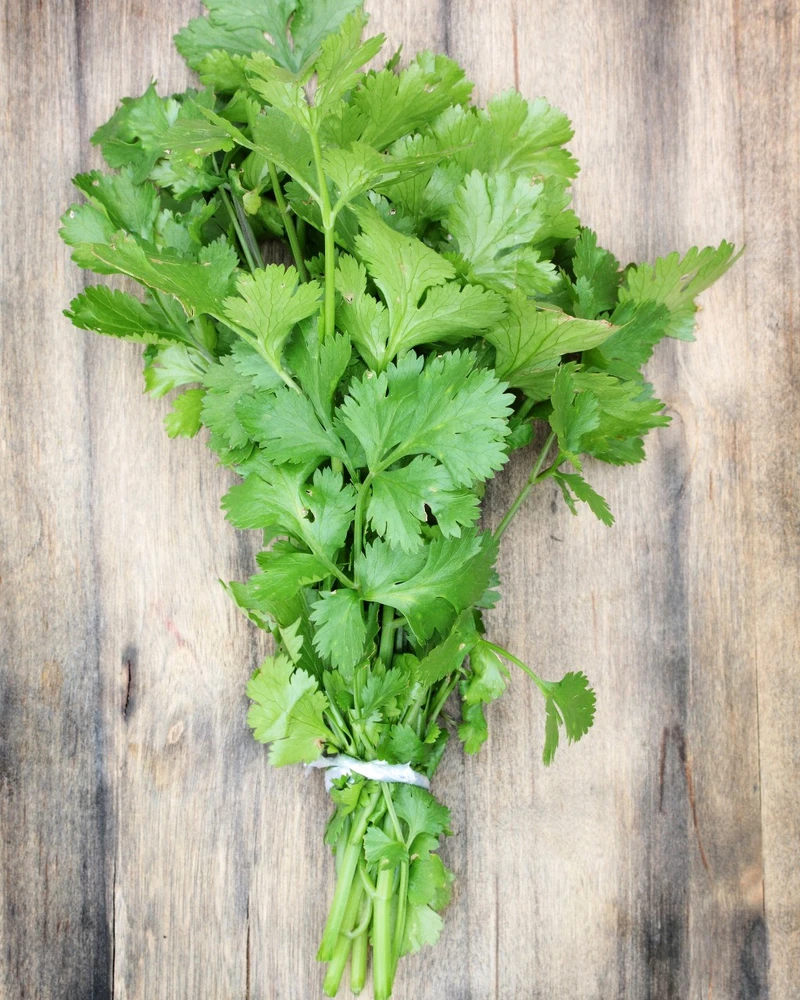 Image ajoutée par Leo