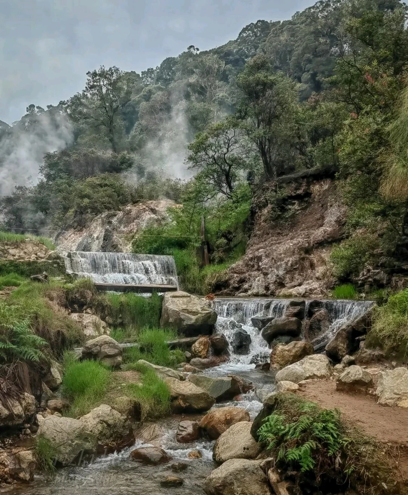 Image uploaded by Ambar Betha