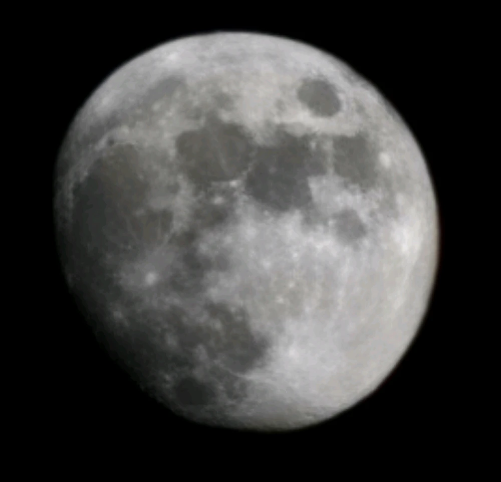 Image uploaded by Luna