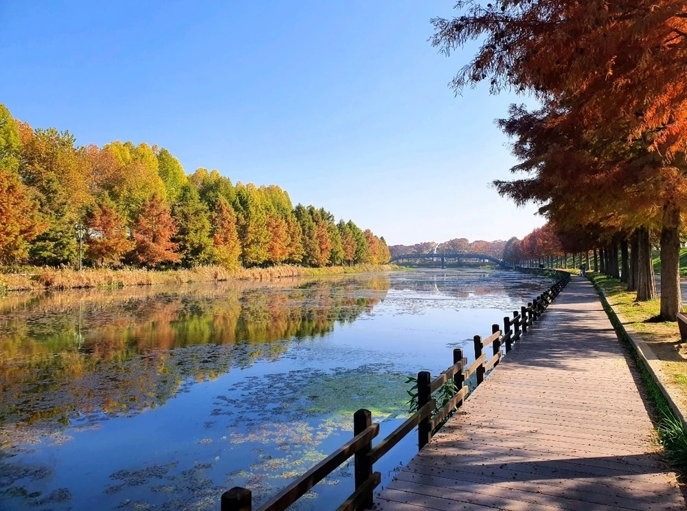 Picturesque View of Damyang