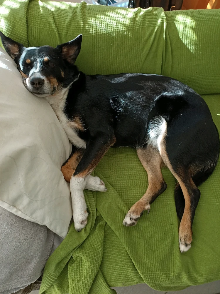 Bild hochgeladen von Plessi1508 - Alex