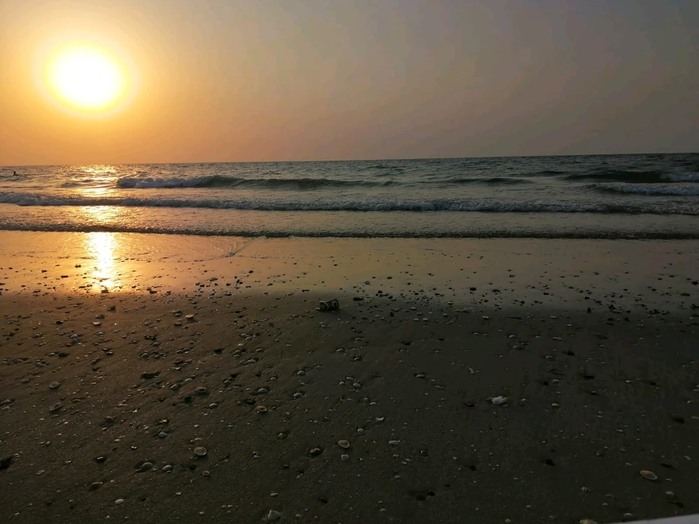 Image uploaded by Ali