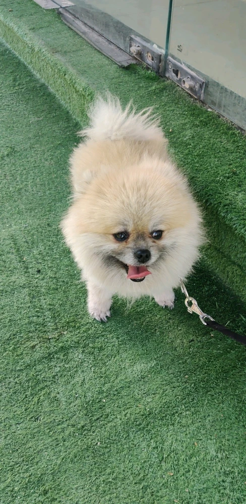 Image uploaded by Ridge Dias