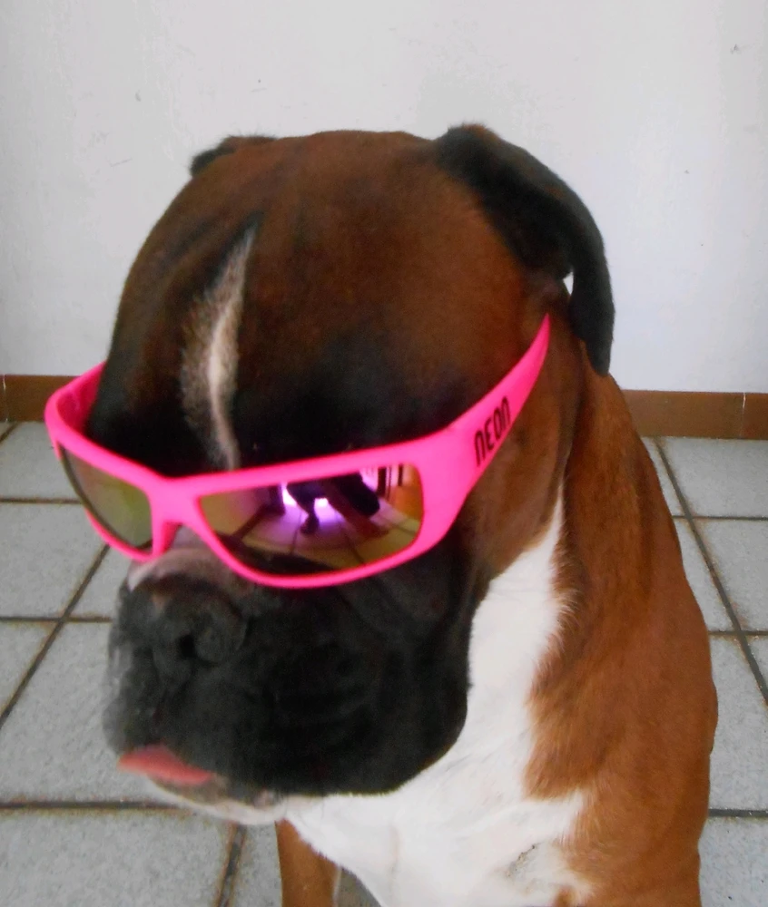 Immagine caricata da Simone