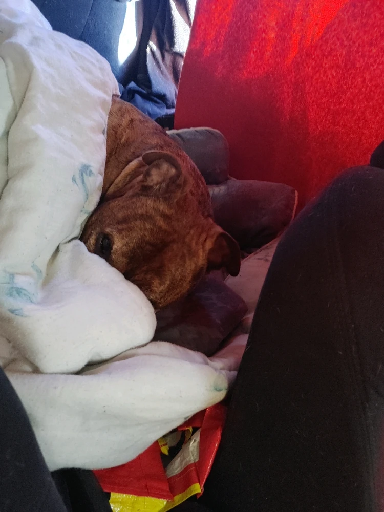 Image ajoutée par Sonny