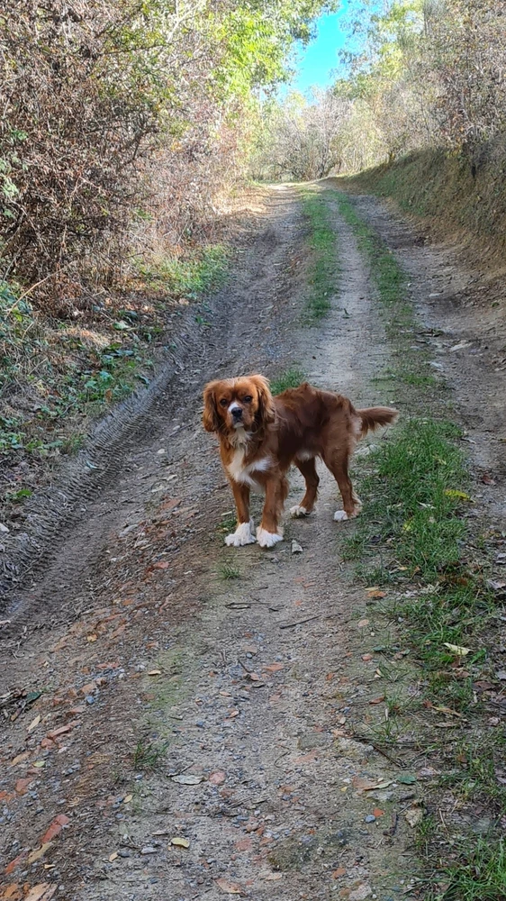 Image uploaded by Cyrille