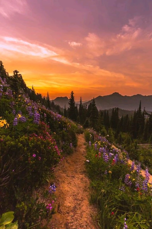 Image uploaded by AJ