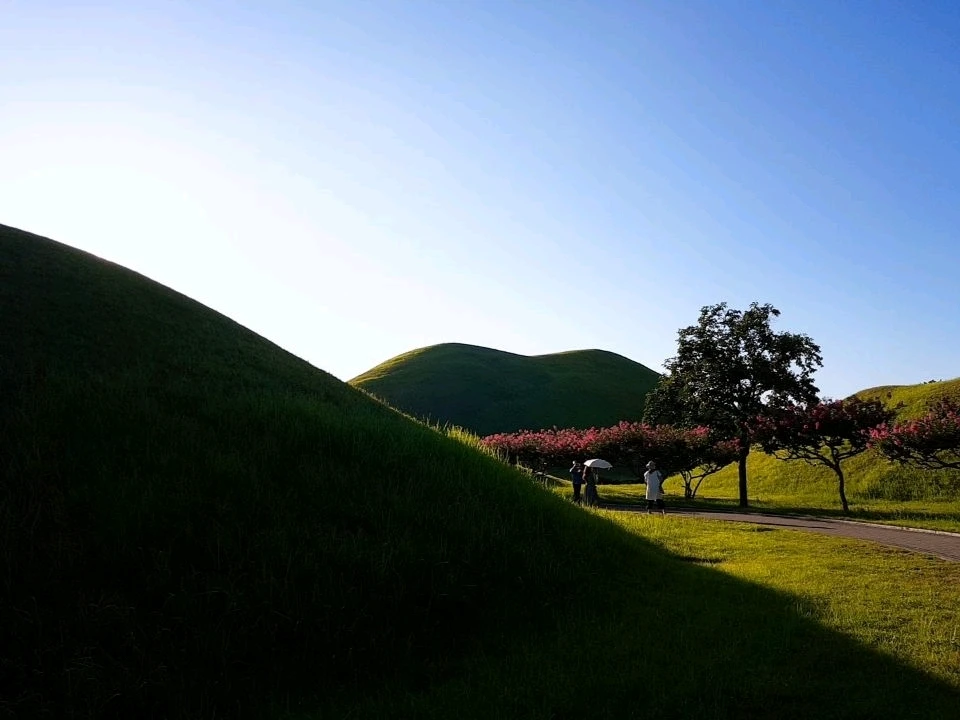 Image uploaded by Jeff