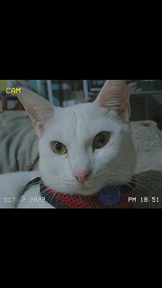 Image uploaded by Allyn