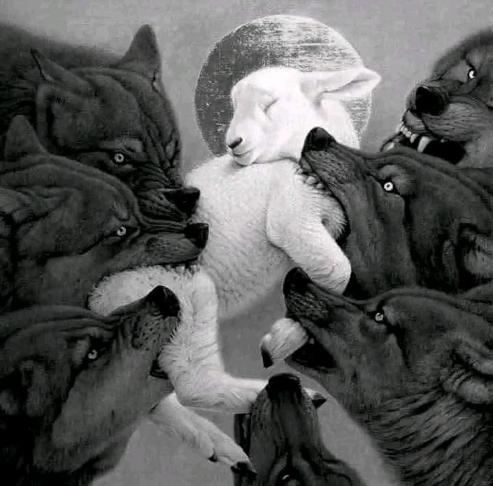 Image ajoutée par Rahafe