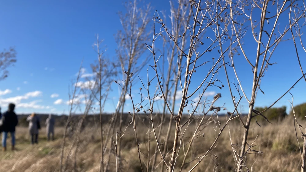 Image uploaded by Tiffany