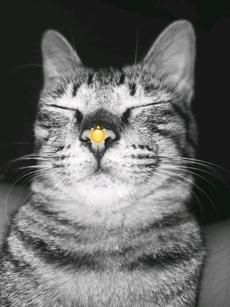 Gambar diunggah oleh Aish