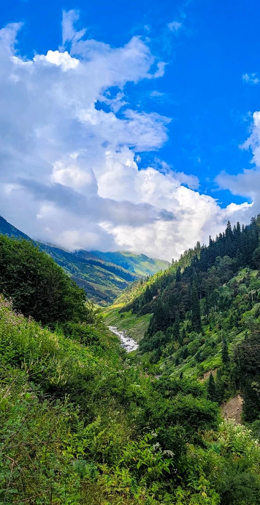 Image uploaded by Saurav