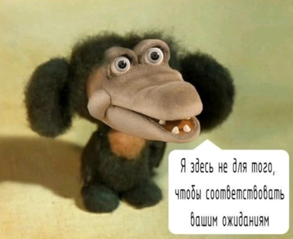 Фото загрузил Надежда