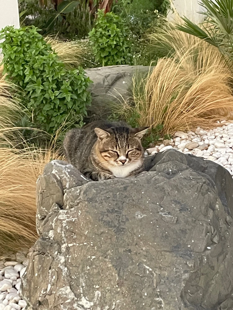 Zdjęcie dodane przez Adrian