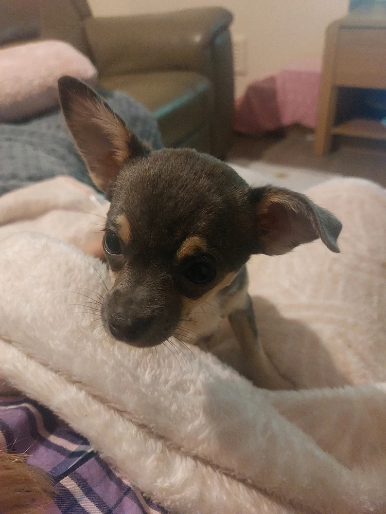 Image uploaded by Samantha