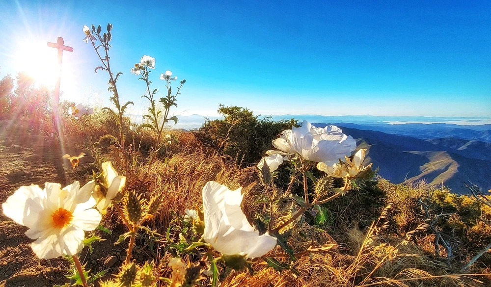 Image uploaded by Dylan