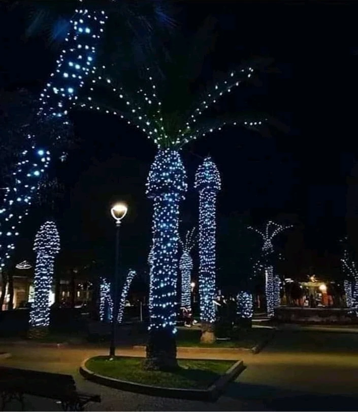 Image uploaded by Anaid