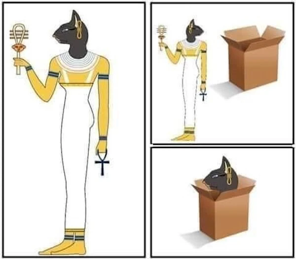 Image uploaded by Ken