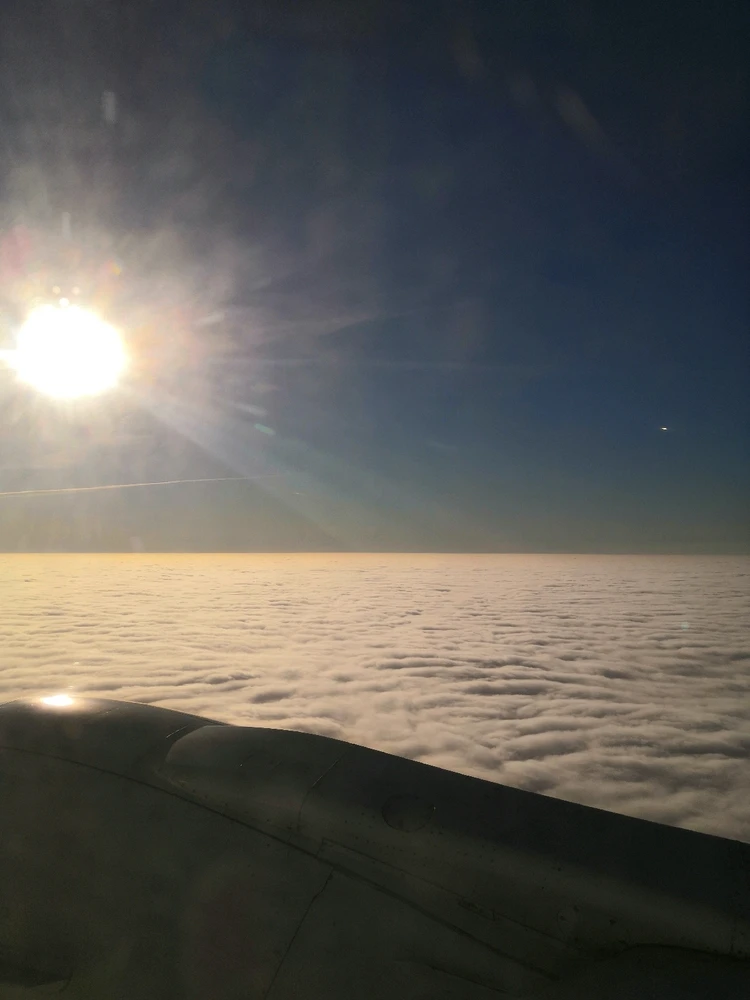 Фото загрузил Katrin