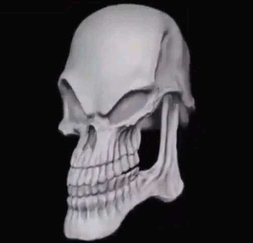 Image uploaded by Jordan
