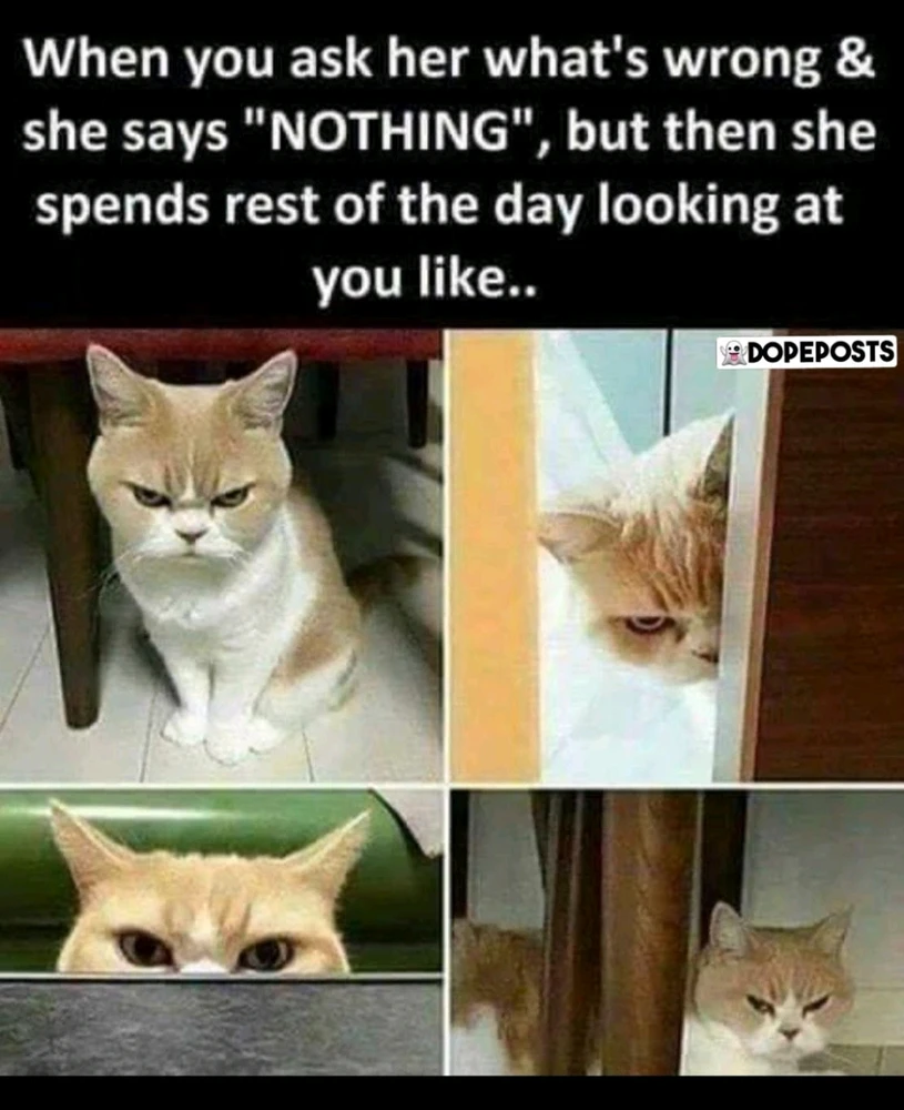 Image uploaded by JulioxAl