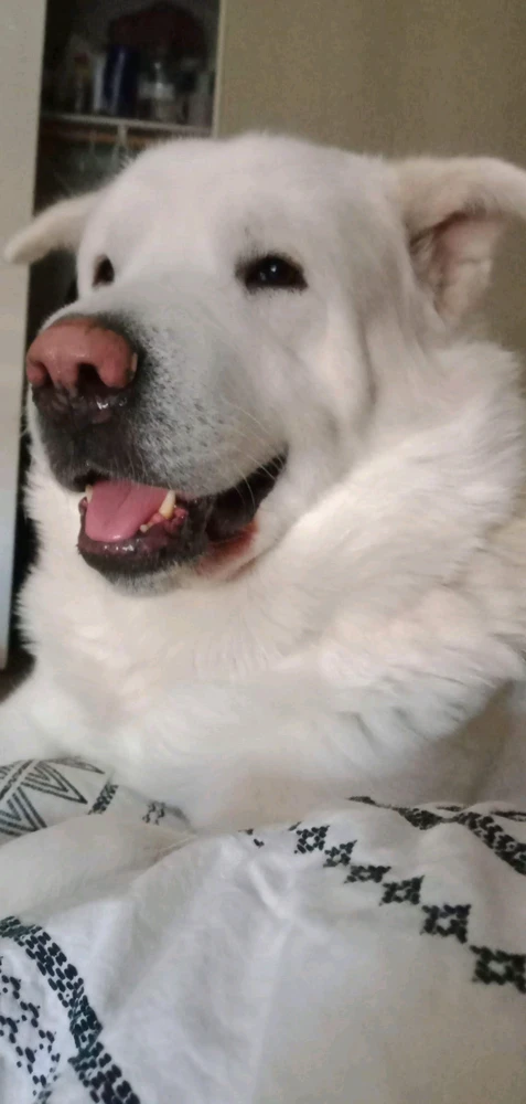 Image uploaded by Nev