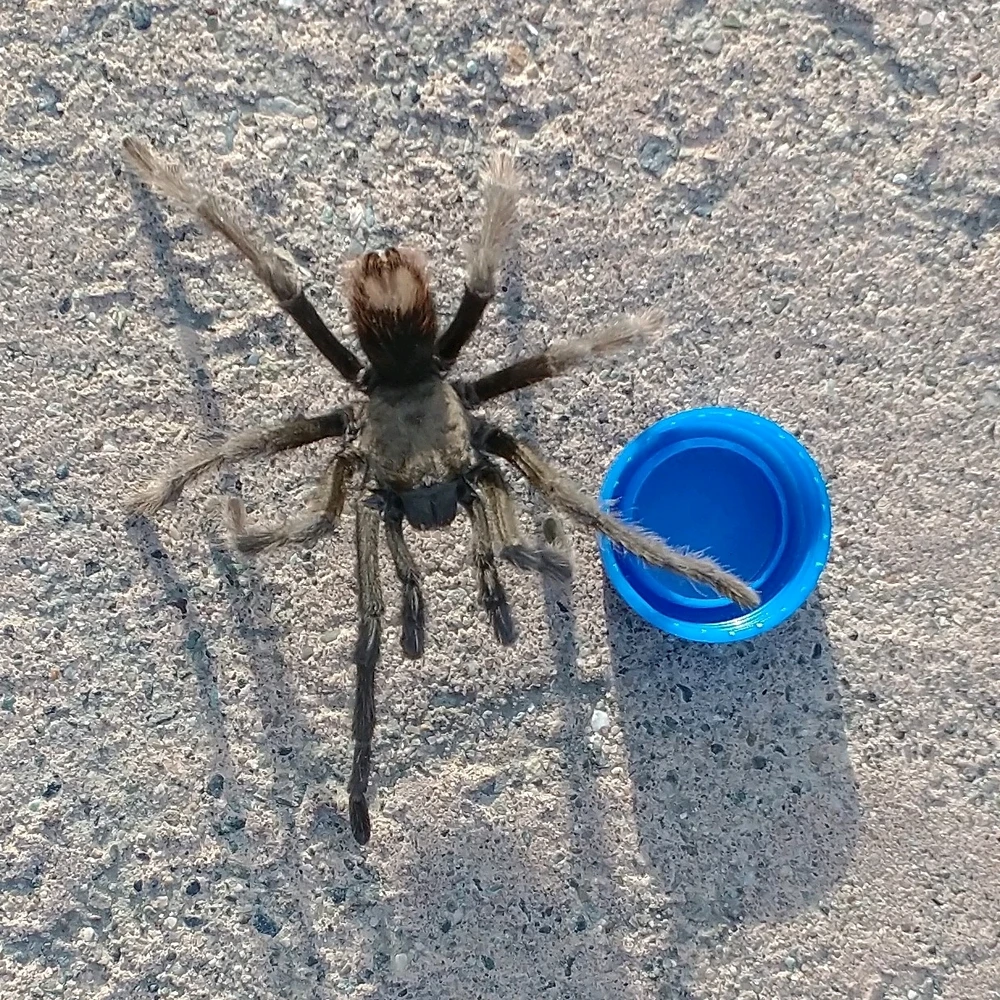 Image uploaded by David