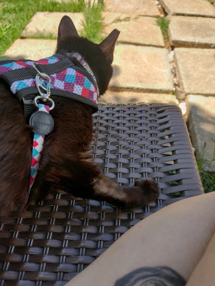 Bruna上傳的圖片
