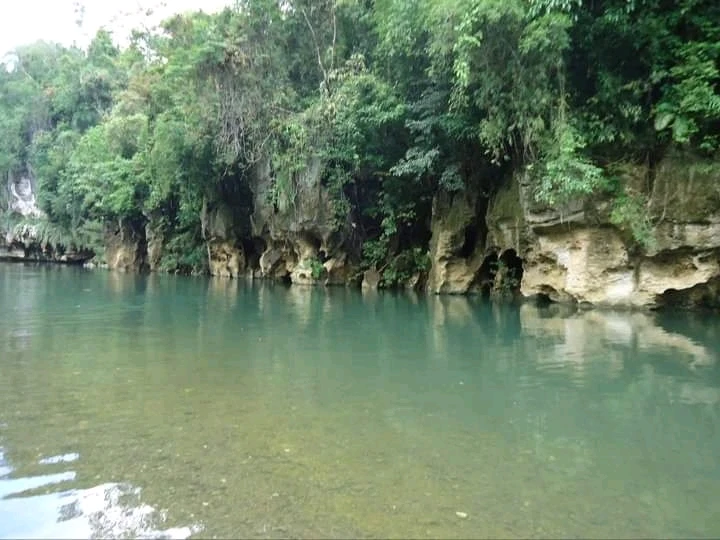 Image uploaded by PLUTONIUM