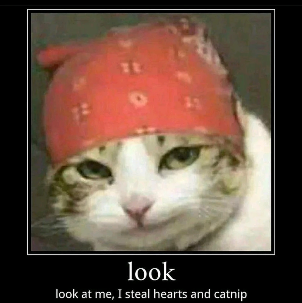 Immagine caricata da Giuls