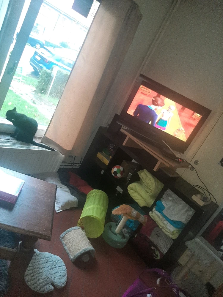 Image ajoutée par Aurélie