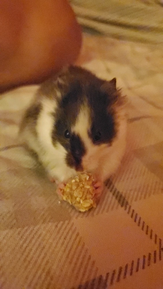 Image uploaded by Alice