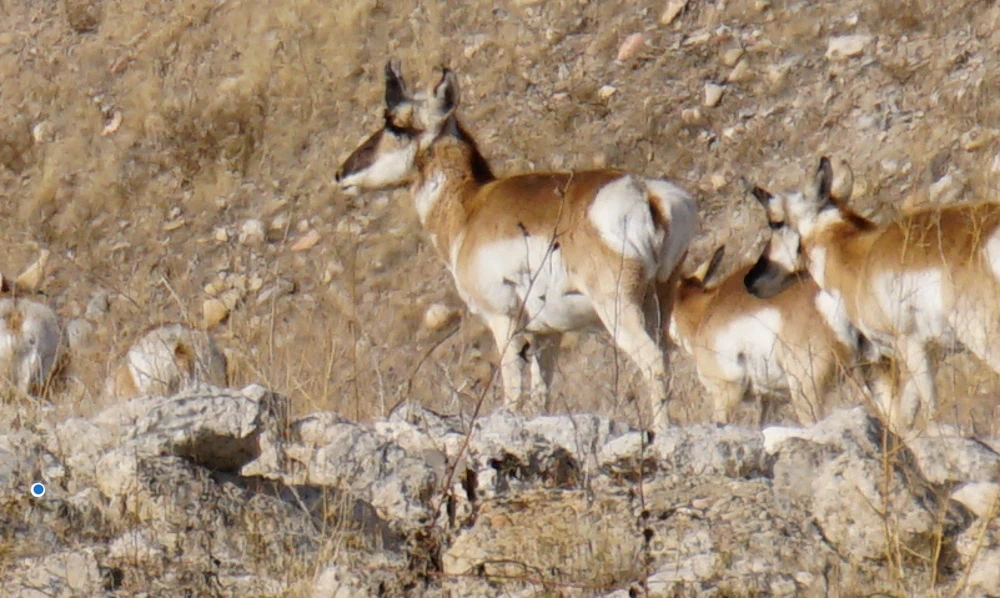 Imagen subida por AK