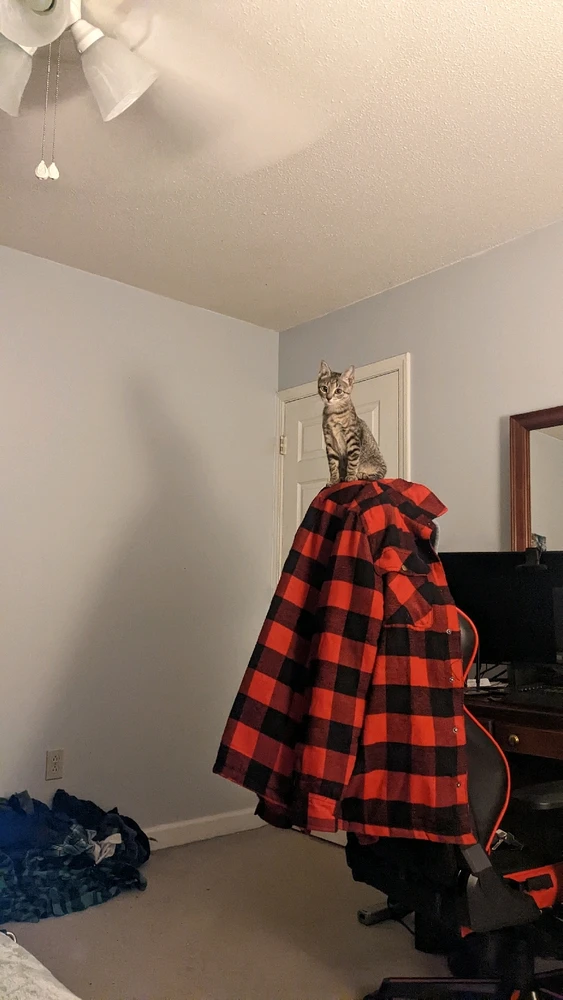 Image uploaded by Berkeley